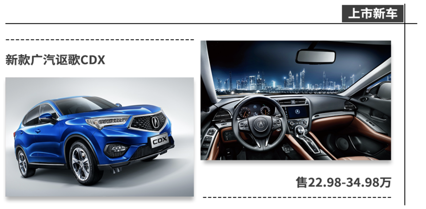 最新cdx