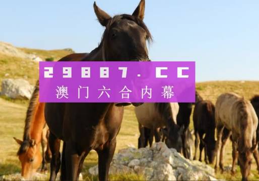 澳门管家婆一肖一码100%精准|词语释义解释落实